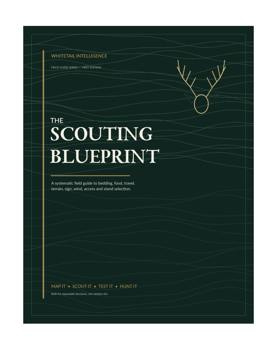The Scouting Blueprint included in the bundle