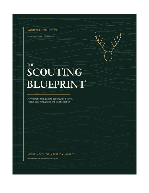 The Scouting Blueprint included in the bundle